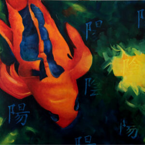 Koi Fish in the Pond